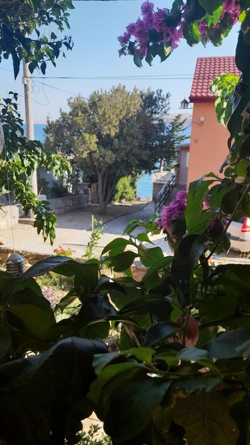 Apartmani Ivankovic Karlobag Quarto foto